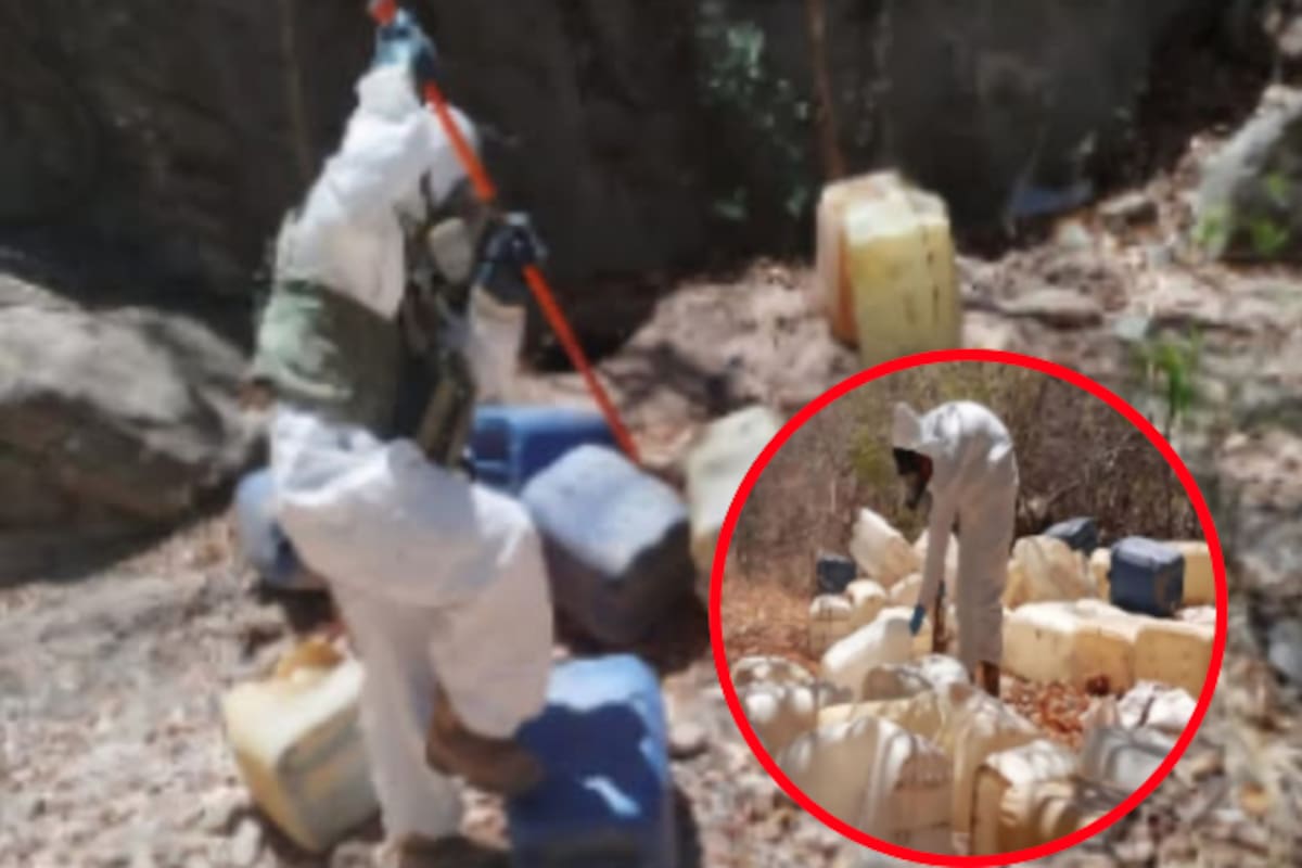 Autoridades aseguran 10 zonas con químicos para fabricar drogas en Cosalá y Culiacán