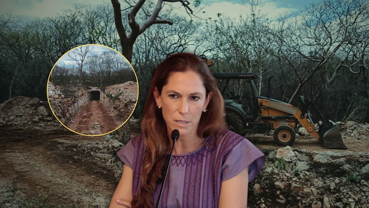 Profepa clausuró un proyecto turístico con intervención ilegal en la selva de Yucatán tras detectar excavaciones, daño a especies nativas y afectación a cenote, lo que activó posibles castigos económicos y penales