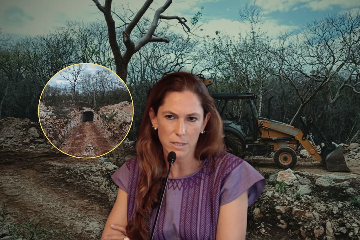 Profepa clausuró un proyecto turístico con intervención ilegal en la selva de Yucatán tras detectar excavaciones, daño a especies nativas y afectación a cenote, lo que activó posibles castigos económicos y penales