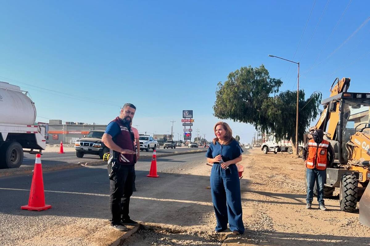 Pide CMIC armar en SQ un consejo Técnico Interdisciplinario