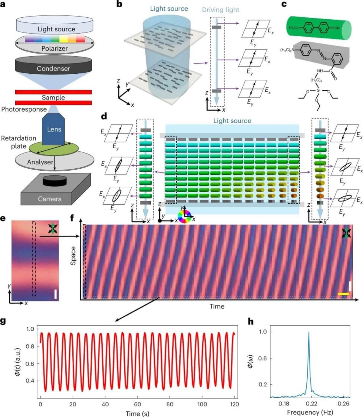Un cristal de tiempo repite su estructura tanto en el espacio como en el tiempo. Esto significa que sus propiedades cambian de manera periódica y regresan a su estado inicial sin intervención externa. Foto: Nature Materials