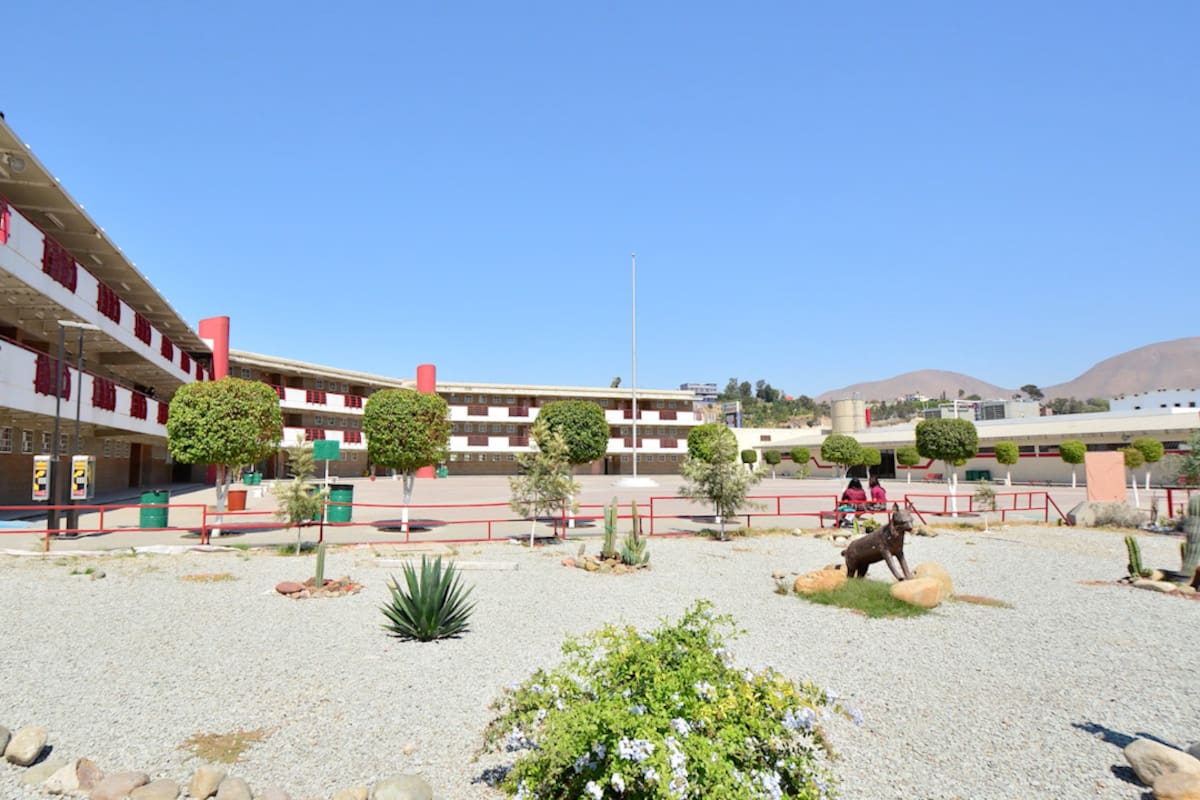 Inicia Cecyte BC el ciclo escolar con más de 25 mil alumnos