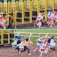 Carreras de “chicas caballo” inspiradas en un anime japonés llenan hipódromo de Lima y se vuelven virales en redes (VIDEO)