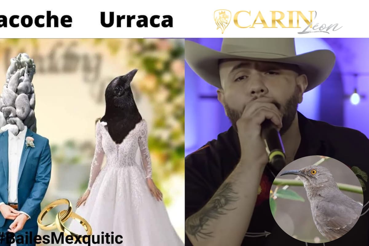 ¿Qué es el huitlacoche, duda que surge en la canción de Carín León?