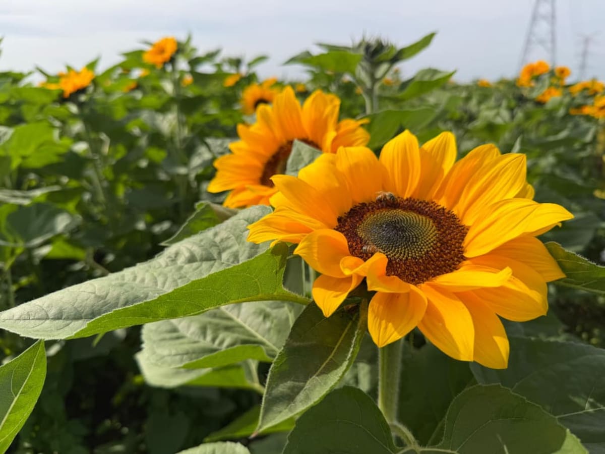 Crédito: Mayra Echeverría