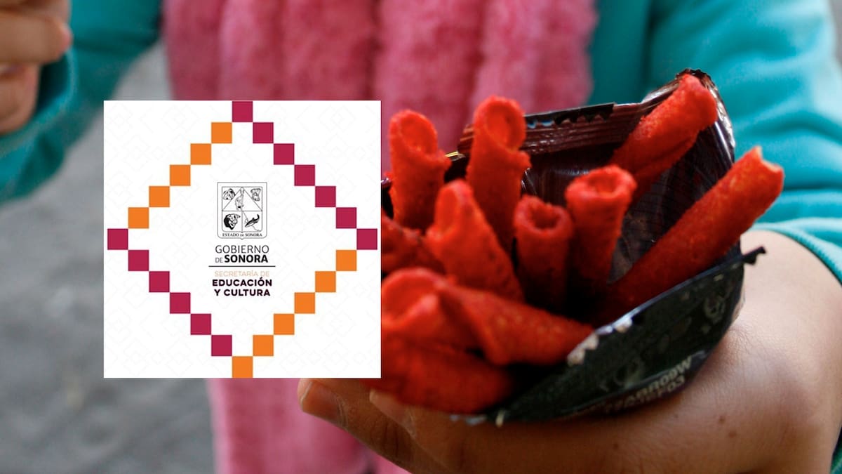 Autoridades educativas de Sonora adelantaron que para el siguiente ciclo escolar aplicarán la ley para evitar la venta de alimentos chatarra en las escuelas del Estado. FOTO: ESPECIAL