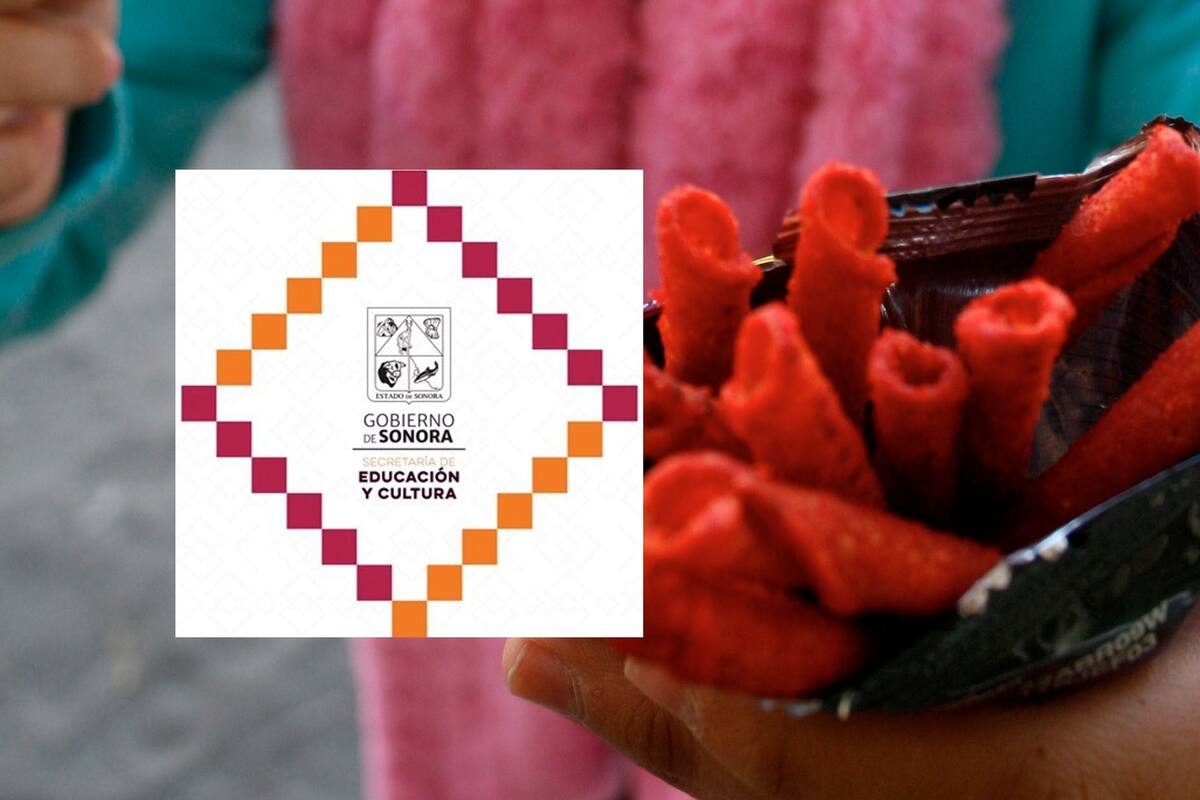 SEC Sonora hará valer la ley contra quienes incumplan la norma antichatarra