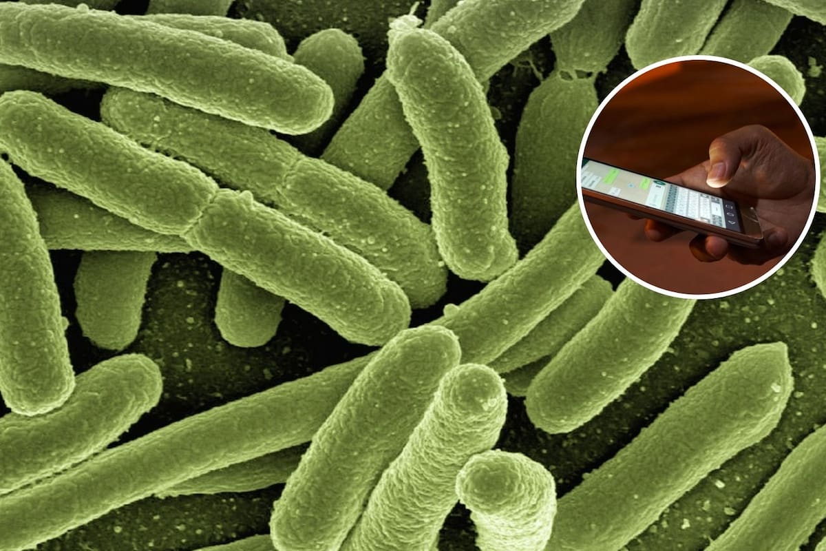 Tu celular puede estar más sucio de lo que crees