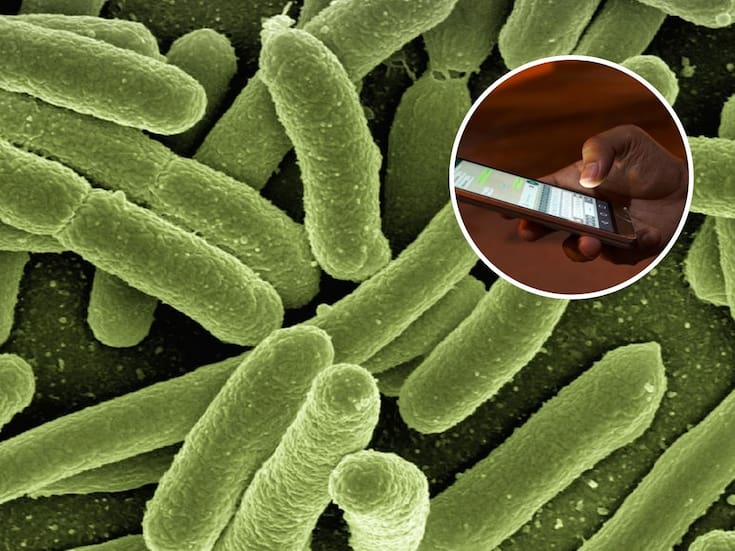 Tu celular puede estar más sucio de lo que crees