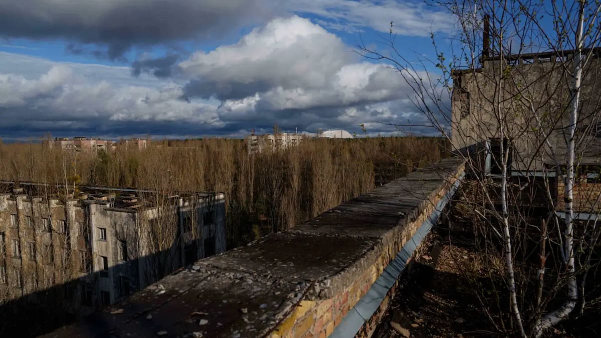Edificios abandonados y bosques en expansión muestran cómo la naturaleza ha recuperado terreno en Chernóbil tras el desastre nuclear. /AP