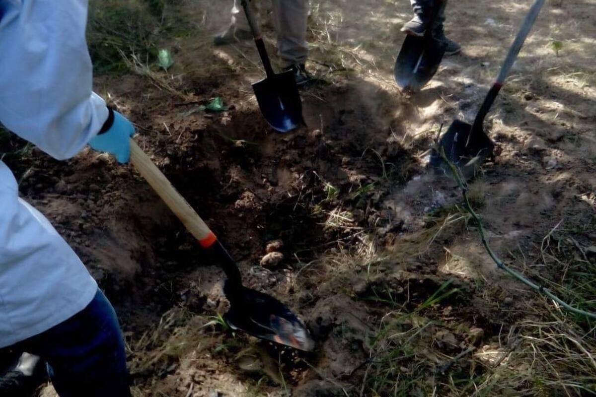 Buscadoras hallan restos humanos en Hermosillo y Peñasco