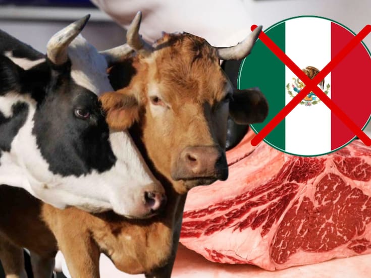 ¿La carne que comes ya no será de México? Ganaderos piden parar la importación masiva desde el extranjero y toparla a 70 mil toneladas al año