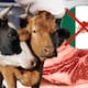 ¿La carne que comes ya no será de México? Ganaderos piden parar la importación masiva desde el extranjero y toparla a 70 mil toneladas al año