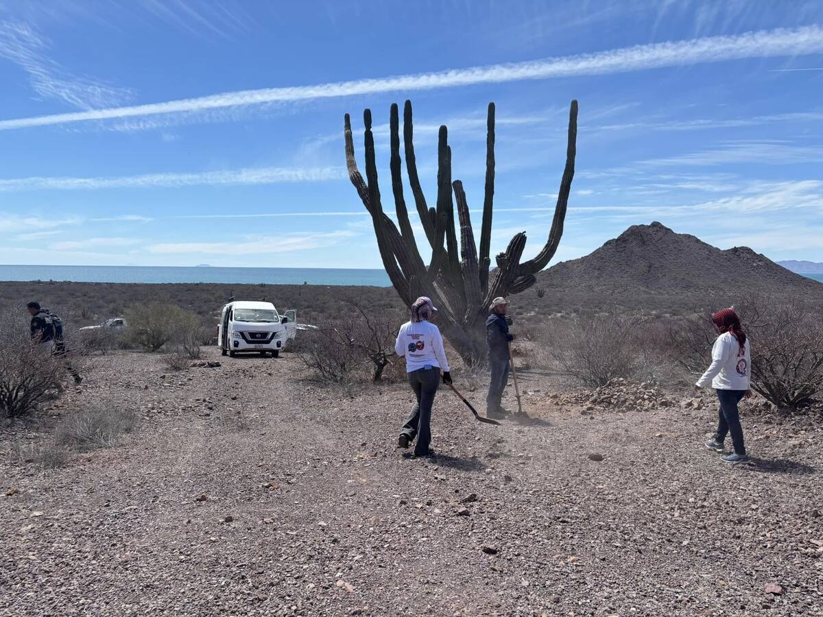 En contraste, los casos actuales carecen de la escala, estructura jerárquica y respaldo institucional que caracterizaron ese periodo histórico.