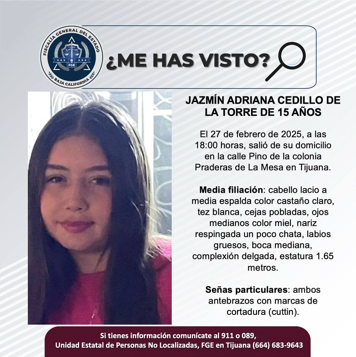 Pesquisa de Jazmín Adriana Cedillo de la Torre.