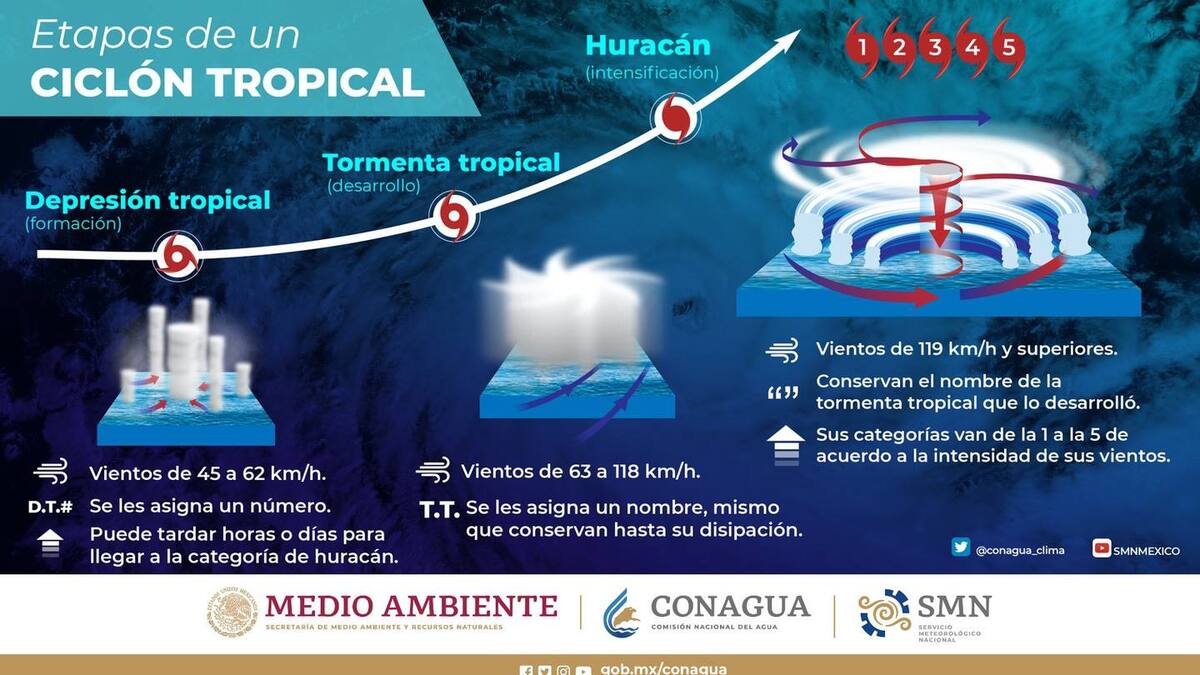 Etapas de formación de huracanes. Foto: Conagua