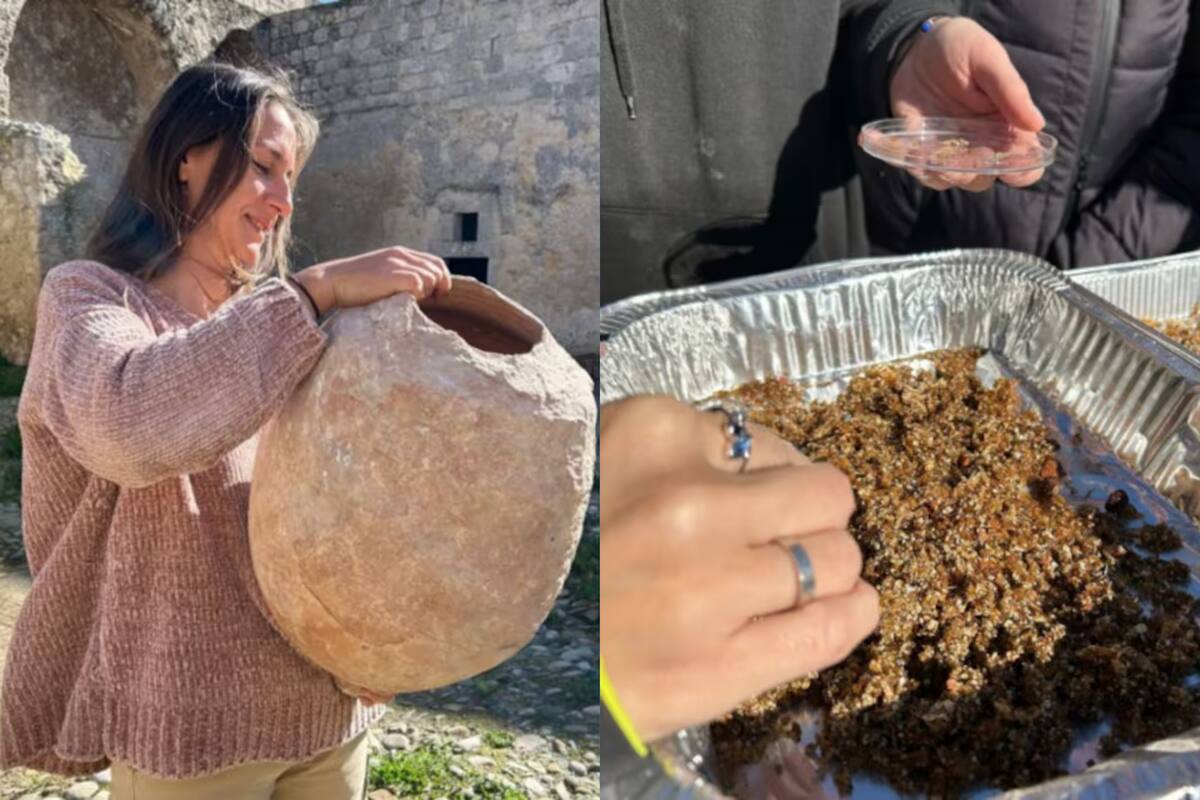 Descubren alimento de 2300 años en ánfora griega hallada en Sicilia
