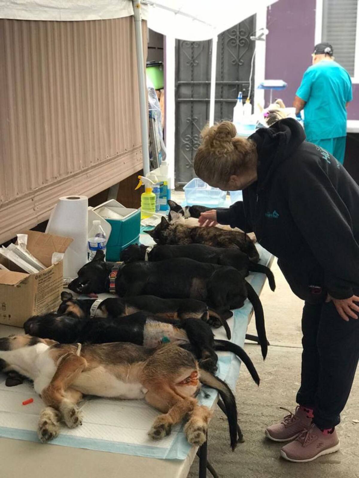 No hay pre registro, por lo que se recomienda llegar temprano.