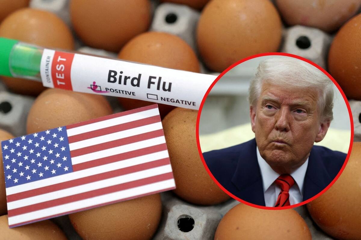 Precios del huevo por las nubes: EU pide ayuda a Europa para estabilizar el mercado