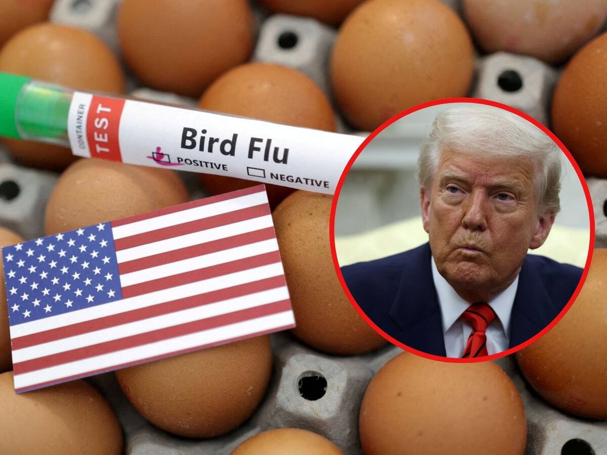 La gripe aviar dispara precios del huevo en Estados Unidos.: buscan importaciones urgentes de Europa. | Crédito: REUTERS