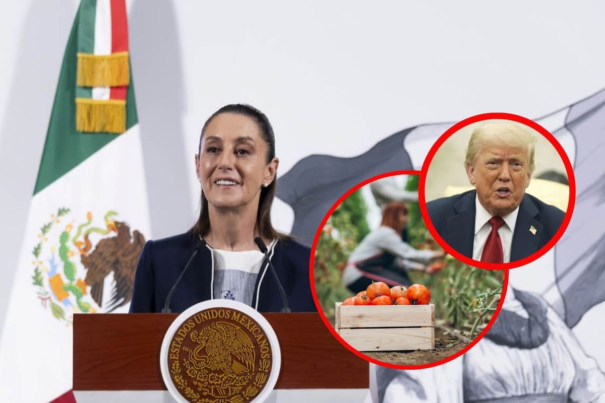 México mantendrá la exportación de jitomate a EEUU pese al nuevo arancel que entró en vigor hoy: Sheinbaum
