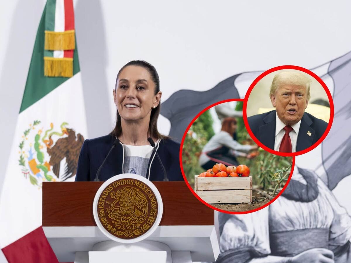 México mantendrá exportación de jitomate a EEUU pese a nuevos aranceles. | Crédito: Presidencia MX/AP/Canva