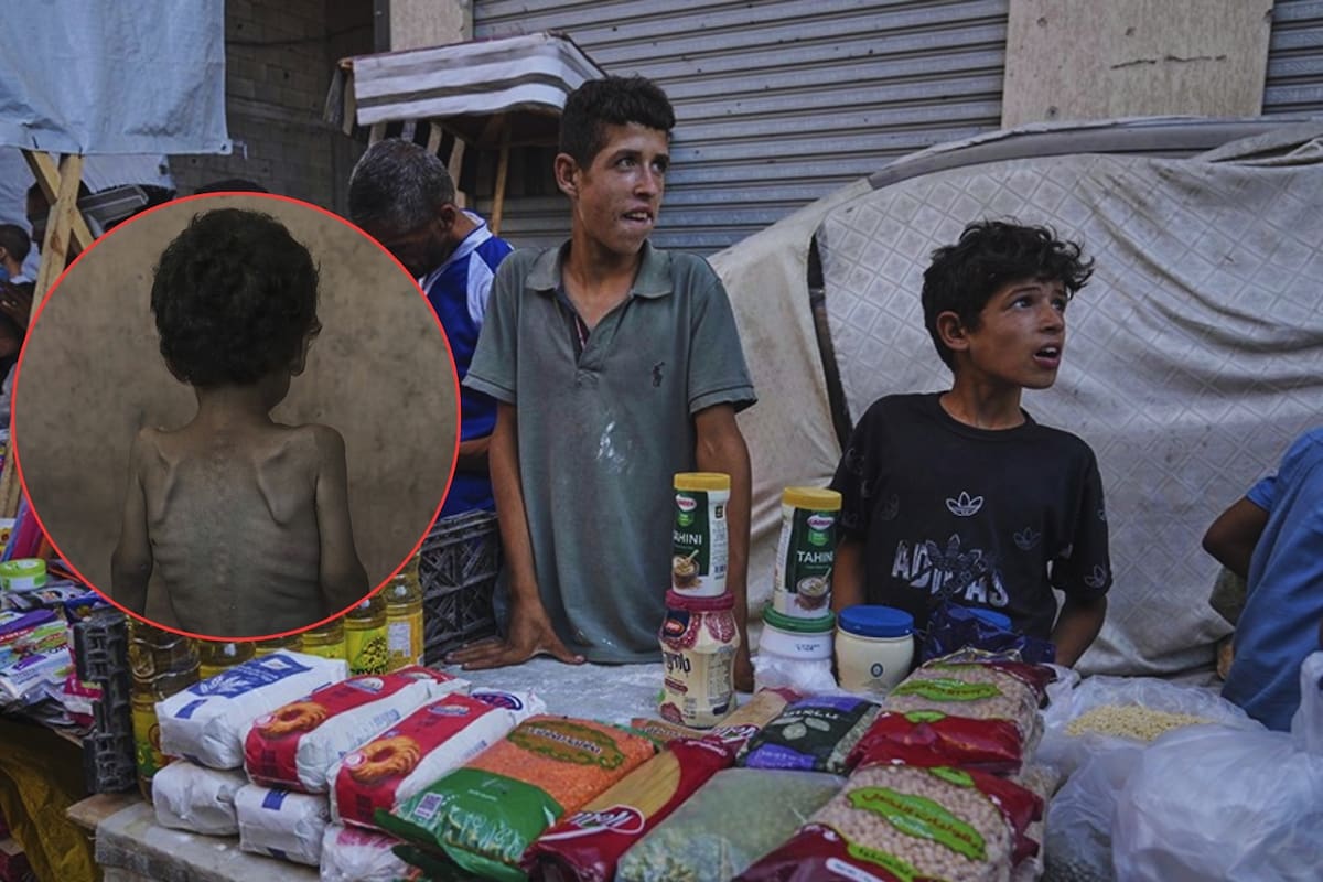 En medio de la peor hambruna del mundo, pandillas y comerciantes se roban la ayuda humanitaria para Gaza y la venden a precios exagerados