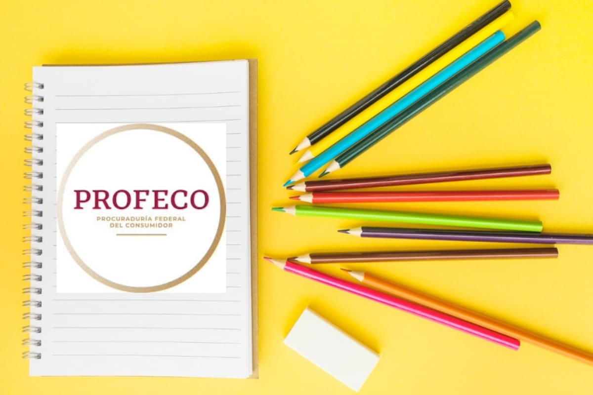 Cuáles son los mejores lápices y cuadernos según la Profeco