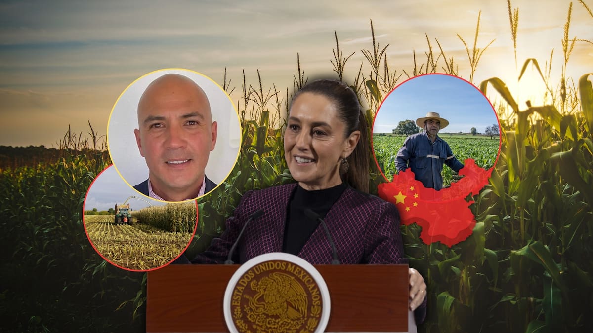 Aunque agrónomos mexicanos que han asesorado a China y Sudamérica para dejar de comprarle maíz a EEUU hicieron crecer el desarrollo agrícola nacional y mundial, señalan que son ignorados por el gobierno de Sheinbaum para la elaboración de nuevas estrategias funcionales