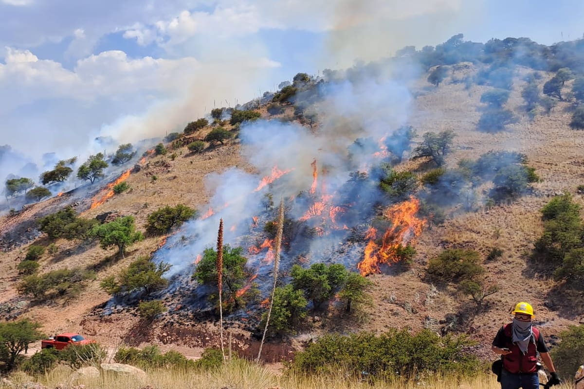 México enfrenta 67 incendios forestales activos en 23 estados