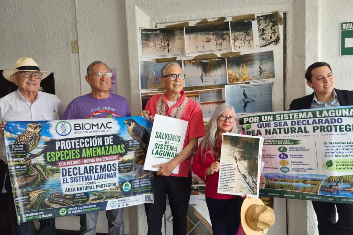 Ambientalistas llevan al Congreso petición para proteger sistema lagunar de Mexicali con más de 3 mil firmas