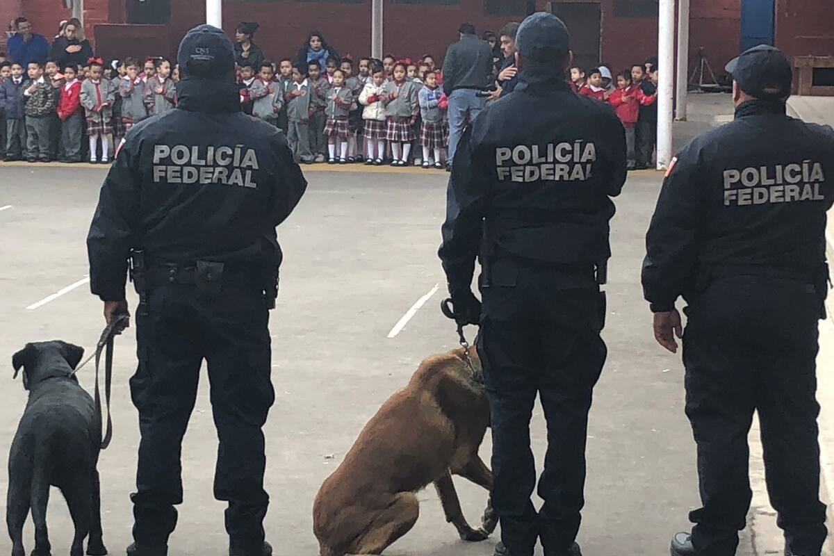 Autoridades de Torreón piden binomios caninos en escuela cercana a Colegio Cervantes