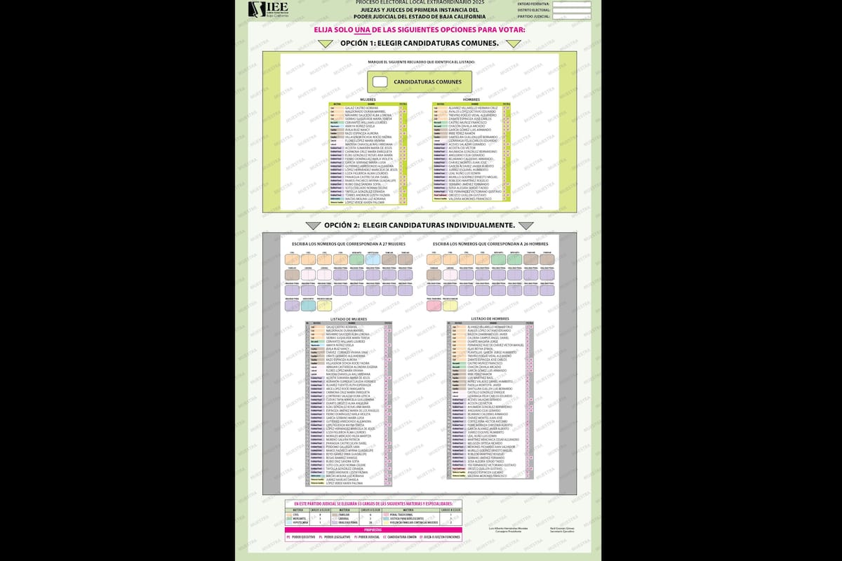 Llegan 9.9 millones de boletas electorales para elecciones judiciales locales