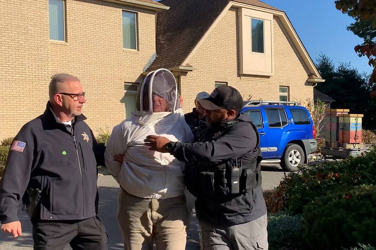 Mujer de Massachusetts lanza enjambre de abejas a policías que le entregaron aviso de desalojo