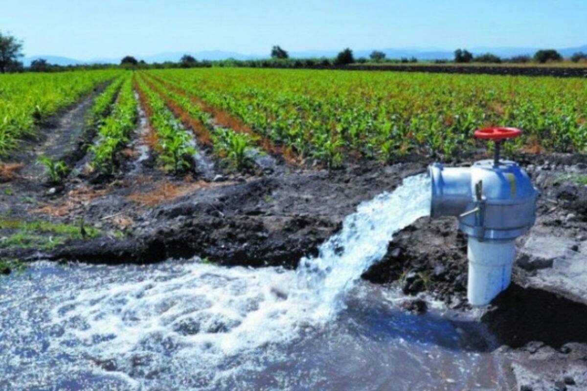Se debe eficientar uso de agua en cultivos del Valle del Yaqui: Investigador