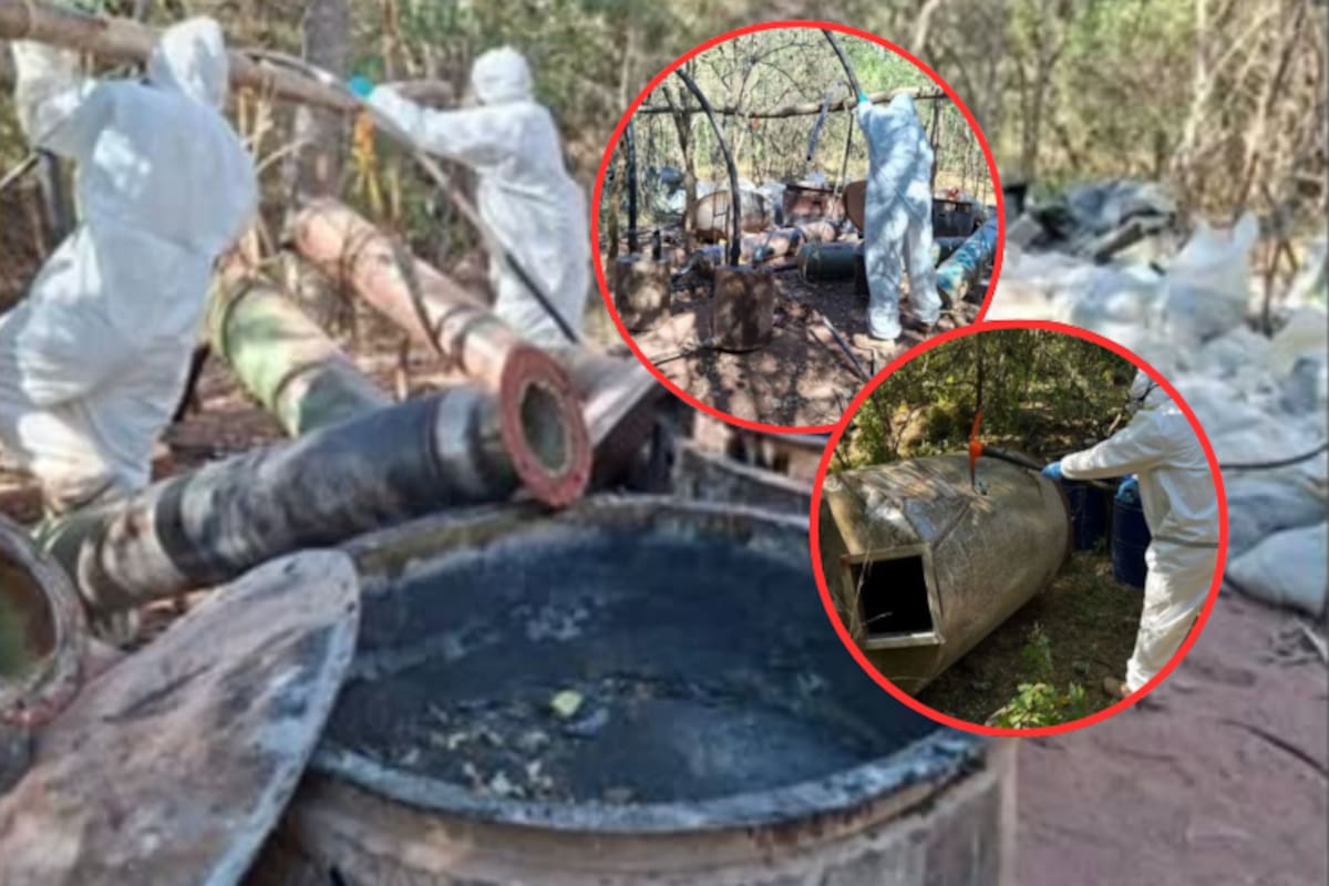 Aseguran 14 zonas con químicos y tres laboratorios clandestinos en Culiacán y Cosalá: así operó el Grupo Interinstitucional