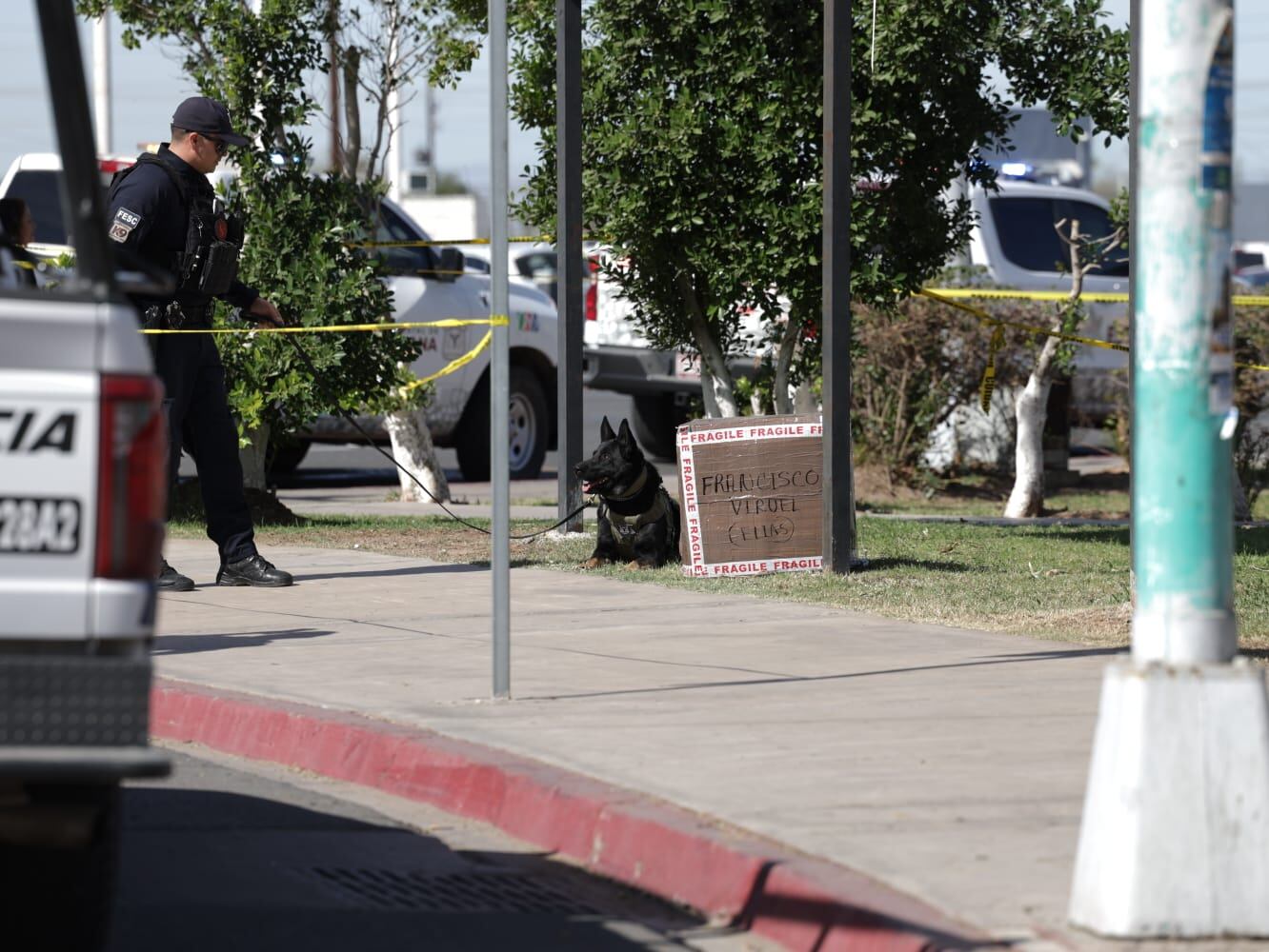 Foto: Javier Gallegos