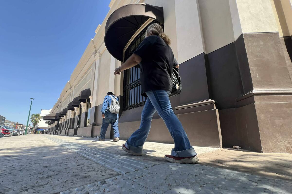 Activistas exigen más árboles en el centro de Hermosillo