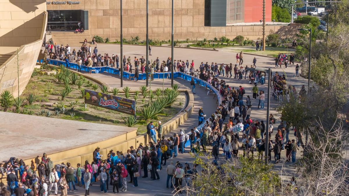 Cerca de mil 500 personas asistieron a la celebración del Día de Reyes en la explanada del CECUT, donde se partió una rosca monumental y se realizaron actividades culturales para niñas y niños. Foto: Cortesia