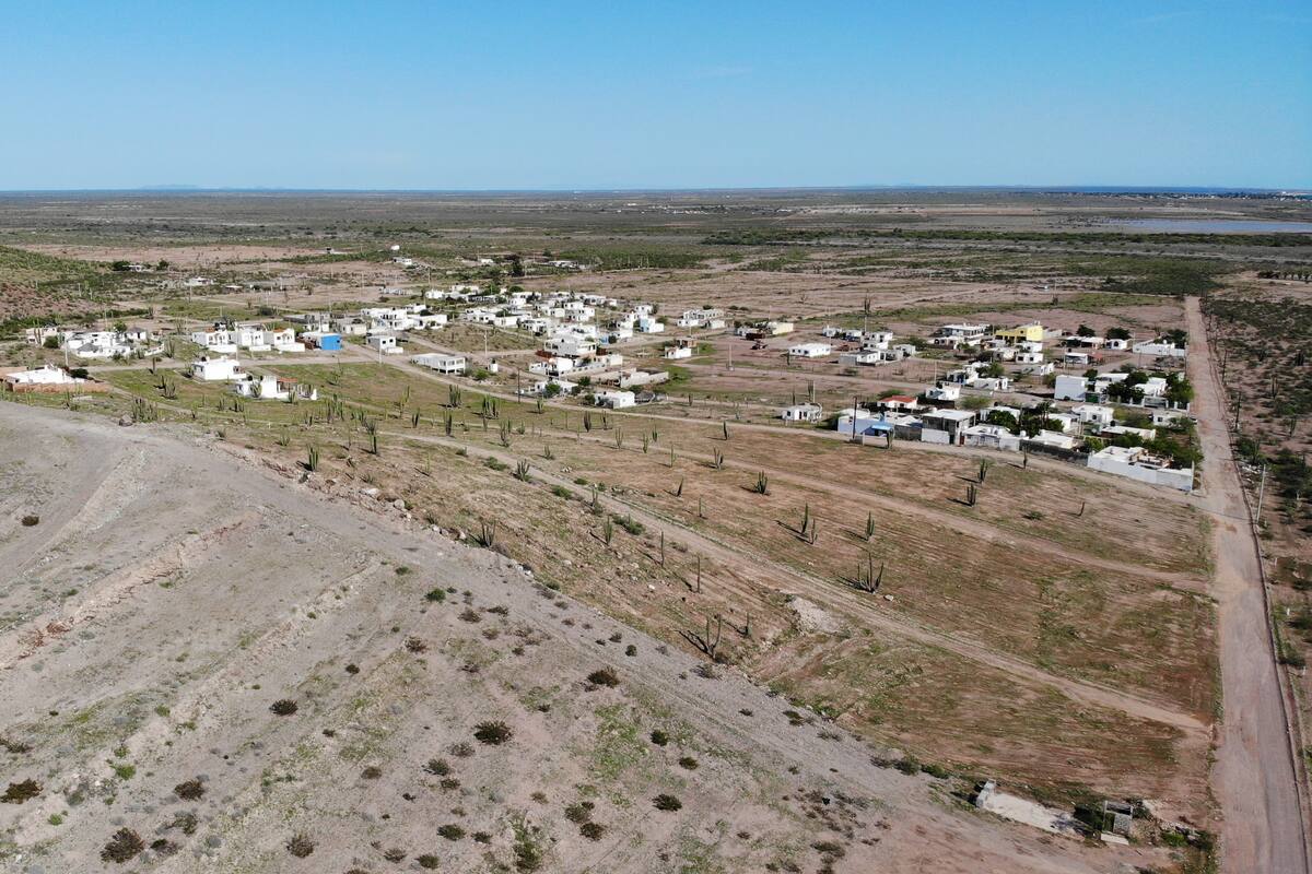¿En qué consiste el Programa de Alerta Inmobiliaria que lanzará Icreson?