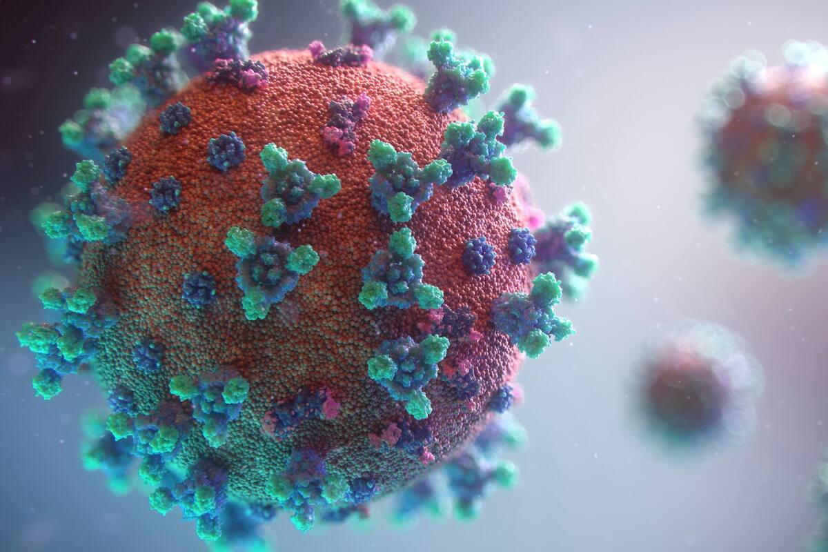 Científicos descubren antiguos virus en un glaciar tibetano