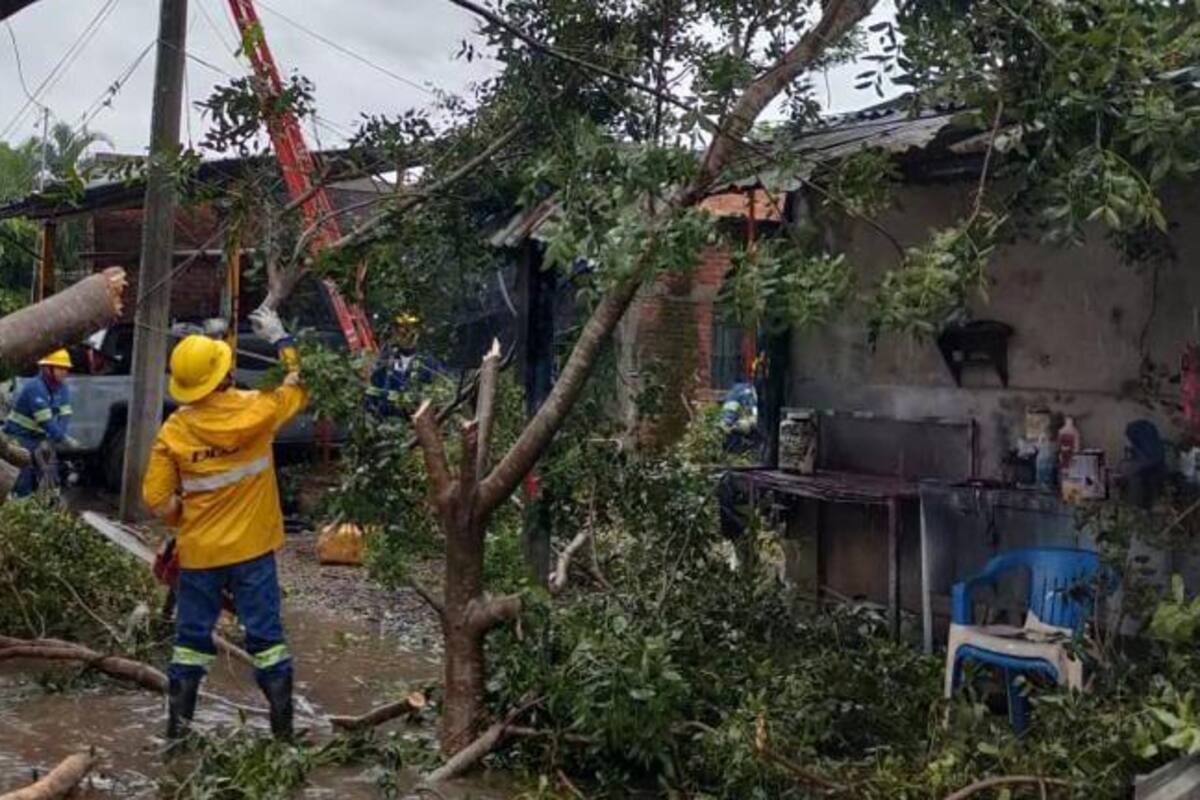 CFE restablece suministro eléctrico al 80% de los usuarios afectados por huracán Roslyn