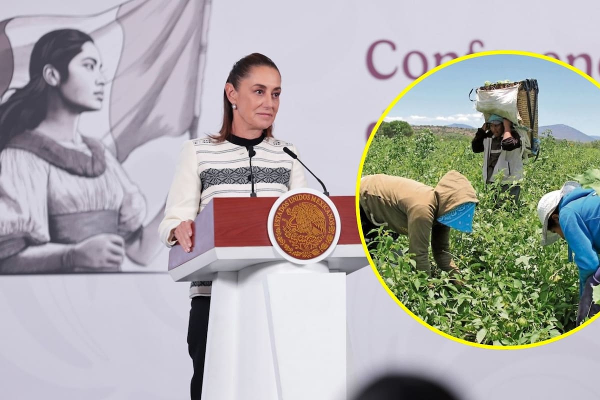 Sheinbaum busca acabar con explotación laboral de jornaleros de San Quintín; pide garantizar jornadas laborales justas y salarios dignos