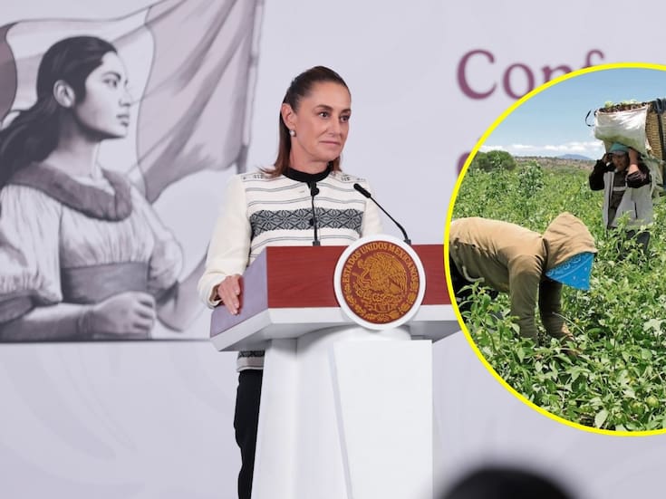 Sheinbaum busca acabar con explotación laboral de jornaleros de San Quintín; pide garantizar jornadas laborales justas y salarios dignos