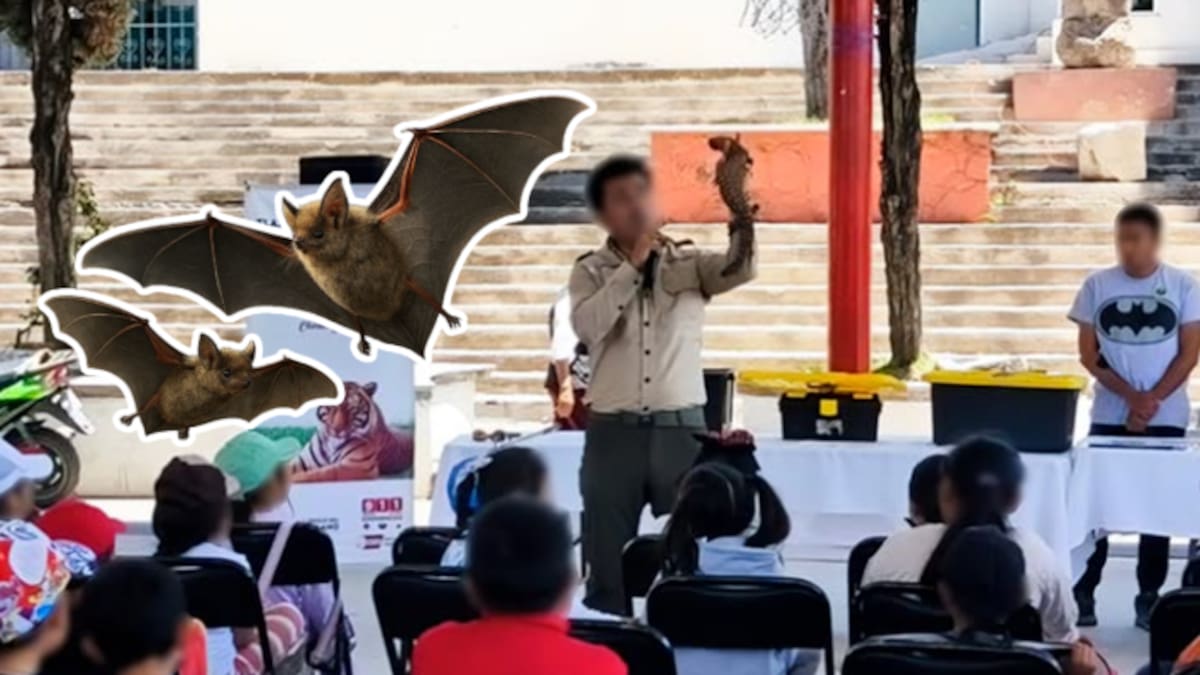 Familia de Tlaxcala resguarda en su hogar a más de dos mil murciélagos: Profepa reconoce su labor ejemplar en conservación ambiental