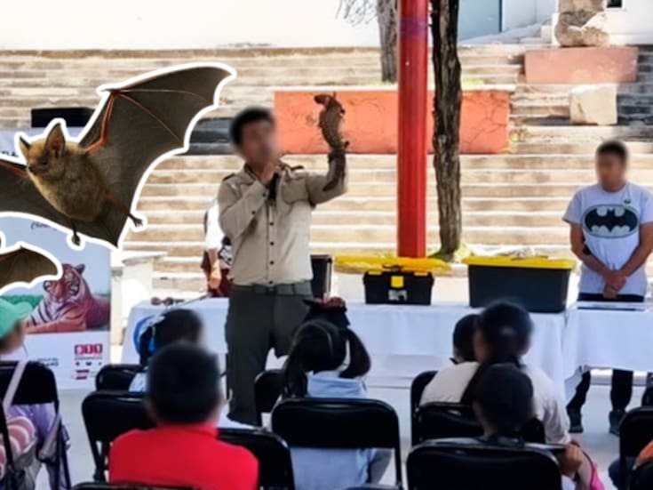 Familia de Tlaxcala resguarda en su hogar a más de dos mil murciélagos: Profepa reconoce su labor ejemplar en conservación ambiental