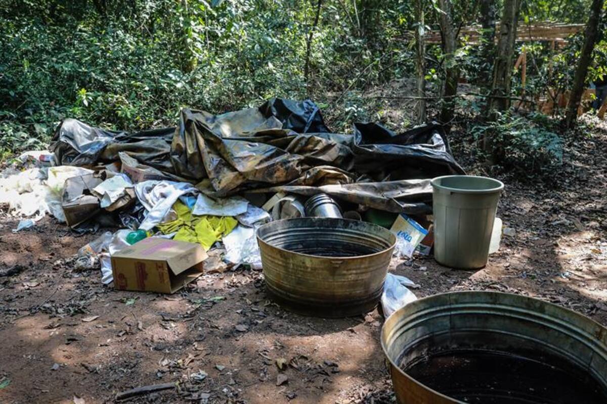 Destruye Ejército mexicano un laboratorio y dos hectáreas de cultivo de coca en Guerrero