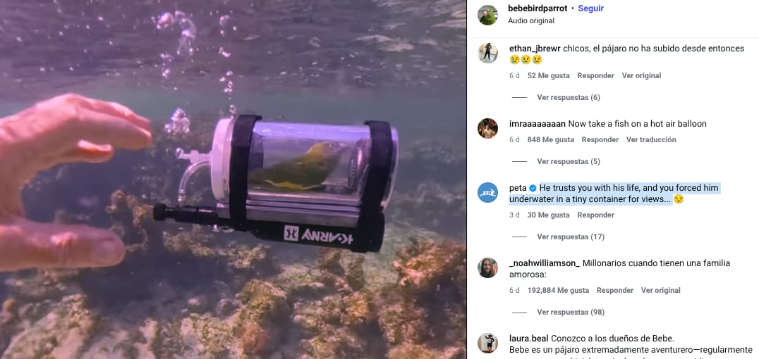 No se reportaron incidentes posteriores relacionados con su estado de salud. Foto: Capture.