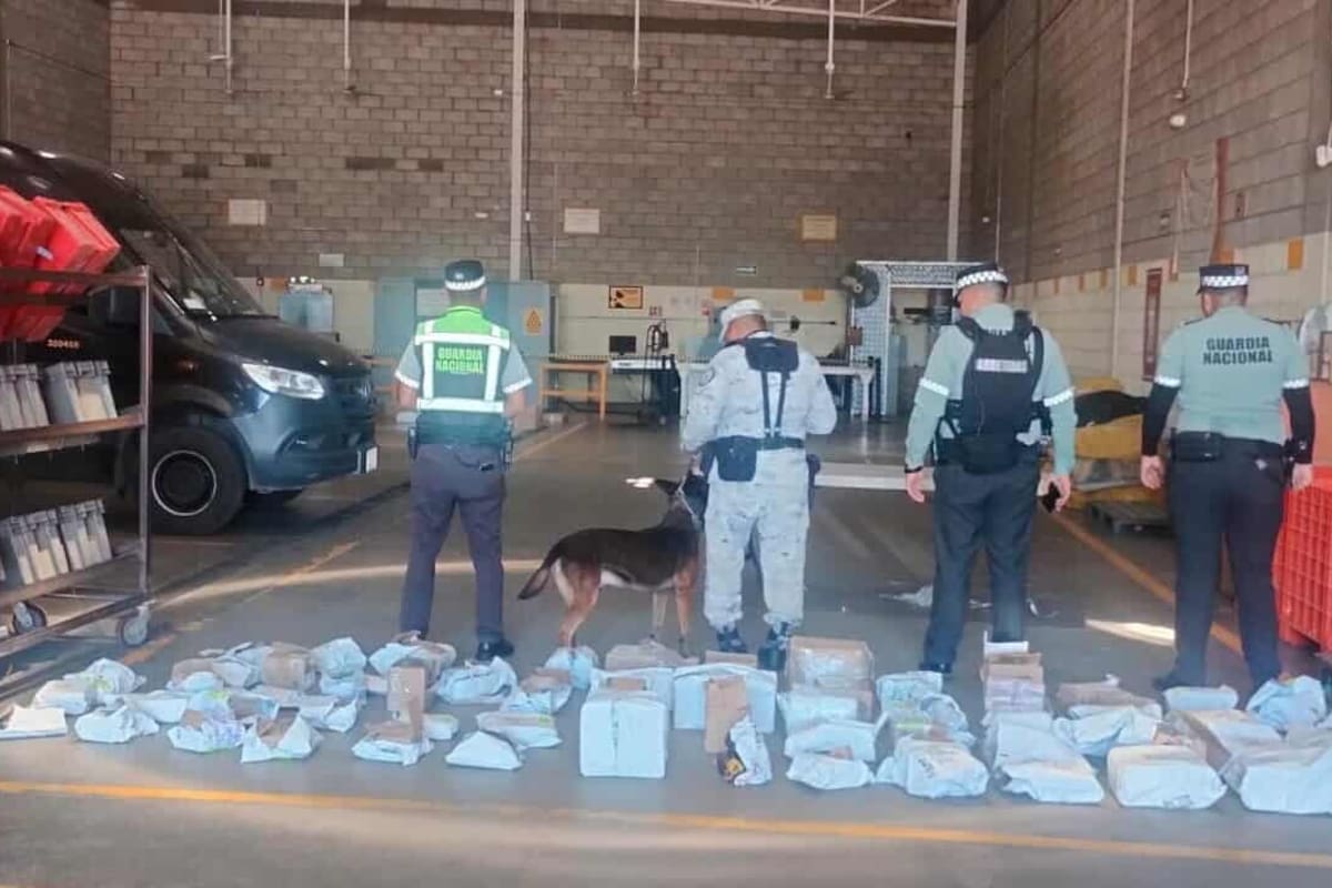 Guardia Nacional asegura 200 kilos de droga y armas en Sonora