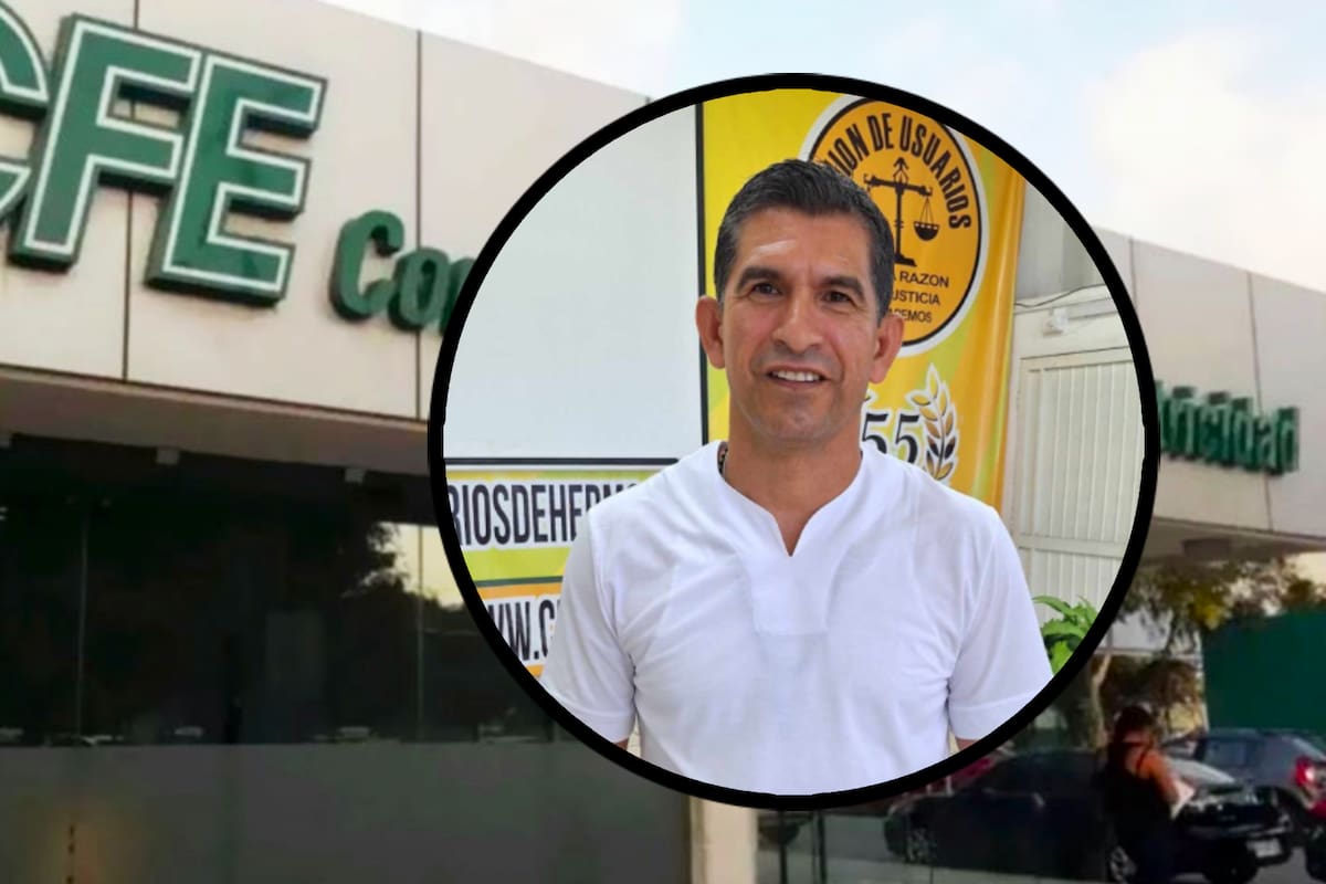 Unión de Usuarios exigirá que la energía eléctrica sea un derecho constitucional